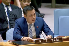 越南常驻联合国代表团团长邓黄江大使在会上发表讲话 图自越通社
