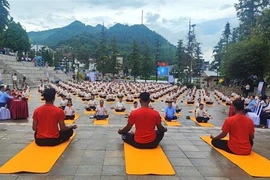 Un spectacle de yoga de masse lors de l'événement (Photo : VNA)
