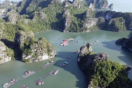 Le village de pêcheurs de Vung Vieng captive les touristes étrangers