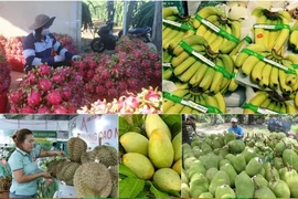  De nouveaux marchés aident les exportations de fruits à atteindre des revenus record