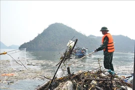 Quang Ninh travaille dur pour collecter les déchets après le typhon dans la baie d'Ha Long. (Photo : VNA)