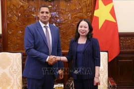 La vice-présidente Vo Thi Anh Xuan et l'ambassadeur de Suède Johan Ndisi. Photo : VNA