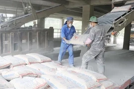 Des ouvriers chargent des sacs de ciment sur un camion dans une usine. (Photo : VNA)