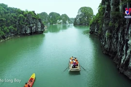 越南成为印度游客青睐的旅游目的地