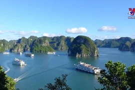 越南北部各省旅游突破发展