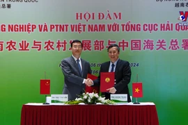 越南与中国促进农林渔业贸易合作