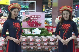 在泰国推广越南荔枝 颇受消费者的欢迎