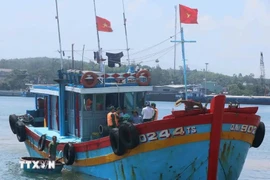 广南省最强远海捕捞渔船队下决心解除“黄牌”警告。图自越通社