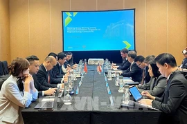 越南、新加坡和美国召开会议，就成立海外电力出口三方工作组进行讨论。图自越通社