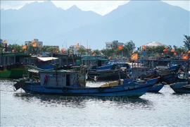 岘港市寿光渔港的渔船。图自越通社