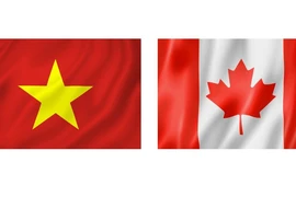 越南和加拿大国旗。图自互联网