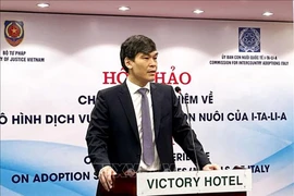 越南司法部儿童领养司司长邓陈英俊在研讨会上发言。图自越通社