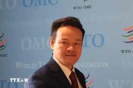 越南常驻联合国、世界贸易组织（WTO）和在瑞士日内瓦其他国际组织代表团团长梅潘勇大使。图自越通社
