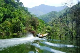 越南乂安省浦活自然保护区。图自互联网