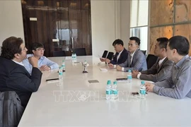 越南驻孟买总领事馆与越南驻印度大使馆商务处与印度太阳制药集团举行工作会议。图自越通社