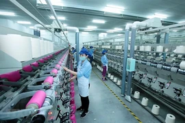Production lines of Jasan Textile and Dyeing Vietnam. (Photo: VNA) 