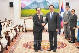 Lao Prime Minister Sonexay Siphandone (right) on May 29 receives Vietnamese Minister of Science and Technology Huynh Tan Dat. (Photo: VNA)