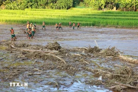 Soldiers search for missing people after a landslide in Nu village, Phuc Khanh commune, Bao Yên district in the northern province of Lao Cai after the Typhoon Yagi. (Photo: VNA)