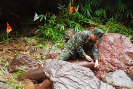 A sapper inspects the bomb. (Photo: published by VNA)