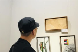 A visitor at the exhibition. (Photo: VNA)