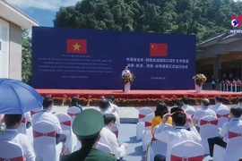 Vietnam-China specialized freight transport route opens
