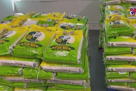 Vietnamese premium rice enters Canadian market