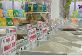 Vietnam's rice export turnover up 23.5% in nine months