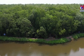 Cu Lao Dung - a desirable place to live in Mekong Delta 