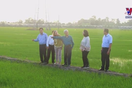 WB delegation visits low-emission rice production model