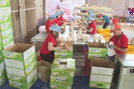 Vietnam records 24.3 billion USD trade surplus in 11 months