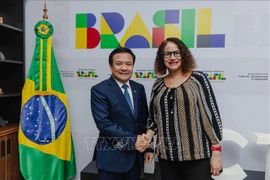 Ambassador of Vietnam to Brazil Bui Van Nghi (L) shakes hands with Brazilian Minister of Science, Technology, and Innovation Luciana Santos (Photo: VNA)
