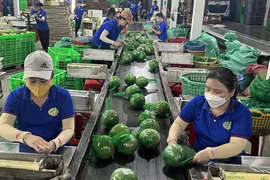 Export recovery helps boost Vietnam’s economic growth - Illustrative image (Photo: Internet)