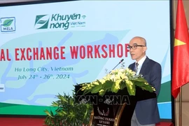 Deputy Director of the MARD’s International Cooperation Department To Viet Chau speaks at the workshop (Photo: VNA)