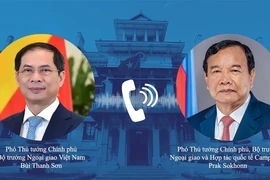 Vietnamese Minister of Foreign Affairs Bui Thanh Son (L) holds phone talks with his Cambodian counterpart Prak Sokhonn. (Photo: VNA)