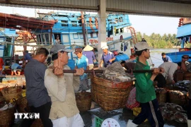 Fishermen carry fish from fishing boats to shore at Tac Cau Port, Chau Thanh district, Kien Giang province. (Photo: VNA)