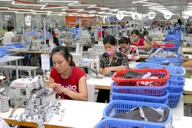 The factory of the Star Fashion Co. Ltd, producing garment for export, in the Phu Nghia Industrial Park in Hanoi's Chuong My district (Photo: VNA)