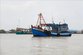 All fishing vessels of Mekong Delta province of Kien Giang' are equipped with vessel monitoring system. (Photo: VNA)