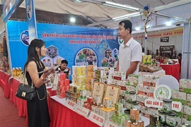 Outstanding industrial products of northern rural areas are displayed at the fair (Photo: VNA)