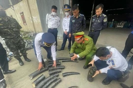 Hai Phong Customs officers discover the smuggling of 1.6 tons of ivory. (Photo: VNA)
