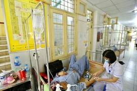 A dengue fever patient is being treated at the Department of Infectious Diseases of the Dong Da General Hospital. (Photo: VNA)