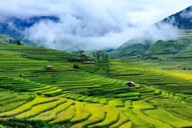 Mu Cang Chai entre los 25 destinos con "belleza surrealista” 