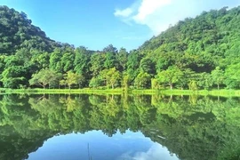 Cuc Phuong de Vietnam distinguido como parque nacional líder de Asia en 2024