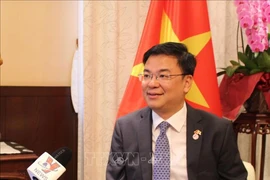越南驻日本大使范光孝接受了越通社驻东京记者的采访。图自越通社