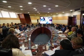 5月22日在俄罗斯外交部国际关系学院举行的“多极世界中的越南：途径、挑战与展望”研讨会。图自越通社