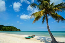 美国媒体称富国岛为世界上最实惠的热带旅游目的地。图自太阳集团