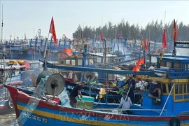 巴地头顿省对“三无”渔船进行严格管理。图自越通社