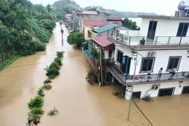 台风“摩羯”引发严重洪涝灾害，安沛省数千房屋被淹。图自越通社