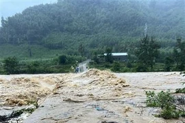 平定省多地遭洪涝灾害。图自越通社