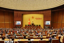 越南第十五届国会第八次会议场景。图自越通社