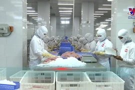 Vietnam’s tra fish exports bounce back